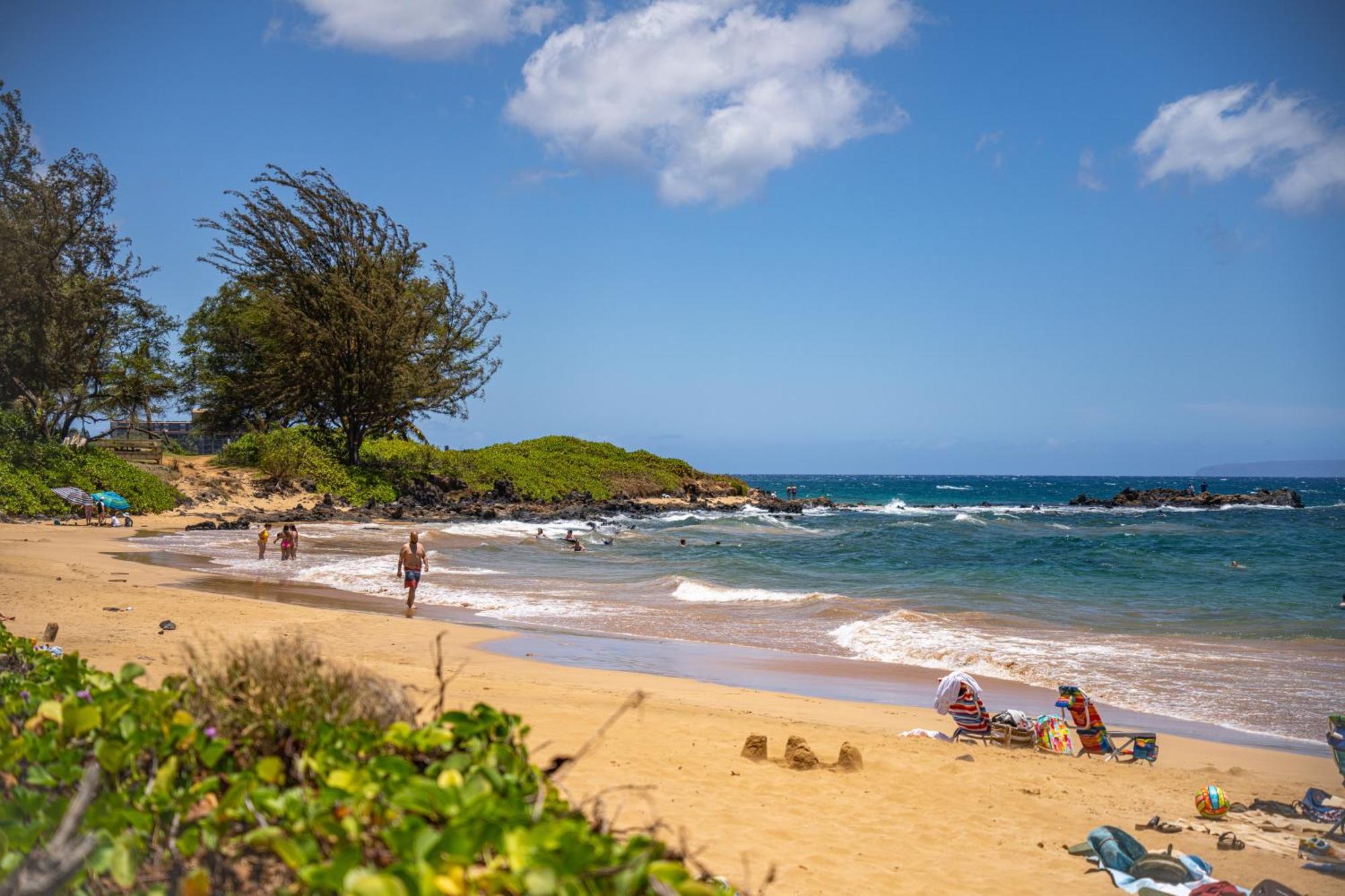 ויילי Kihei Akahi Garden View Studio מראה חיצוני תמונה